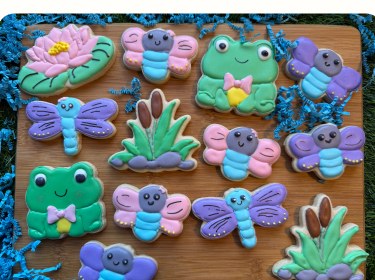 Iced frog, dragonfly and lily pad cookies
